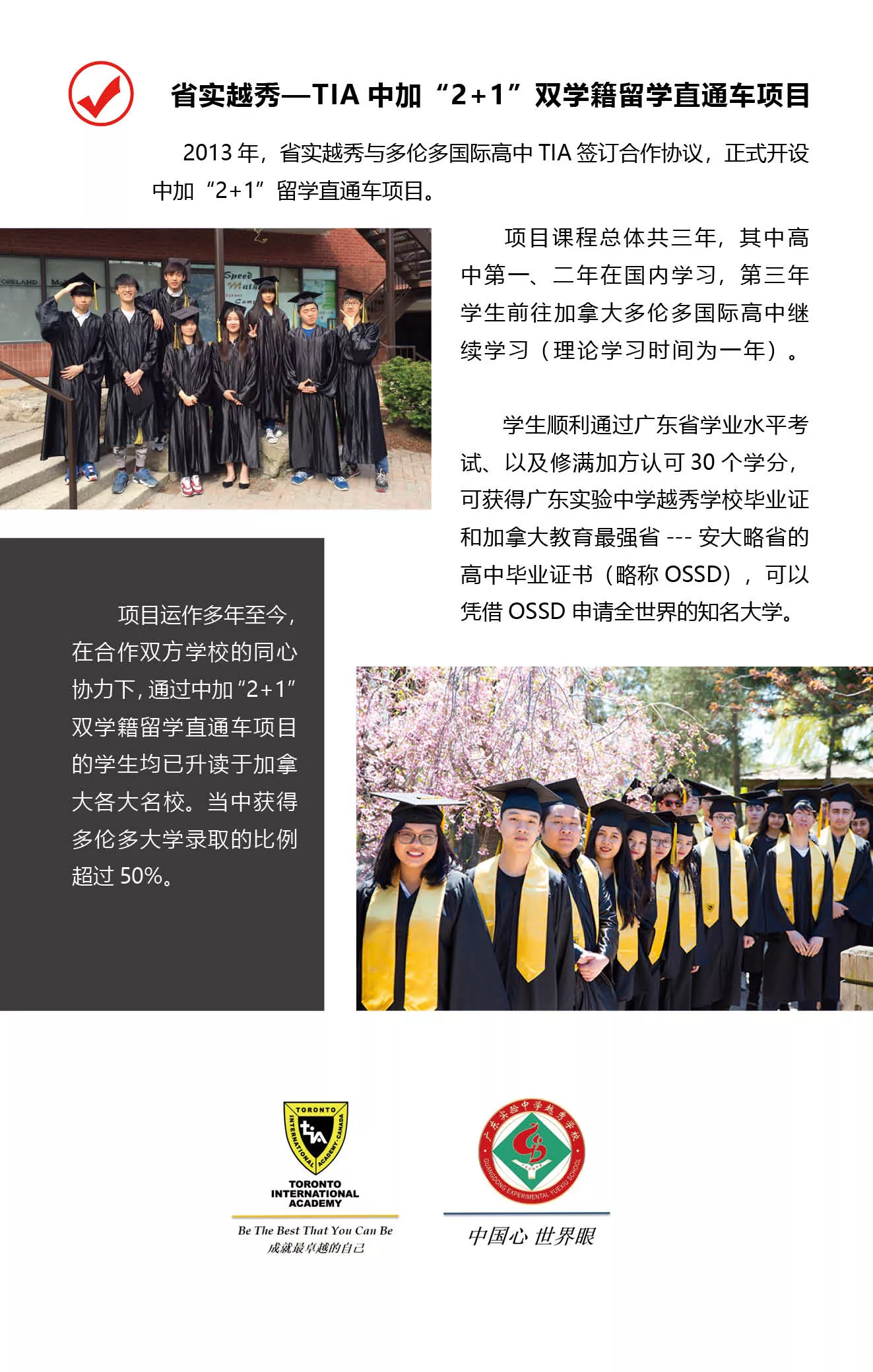 第一行主标题
